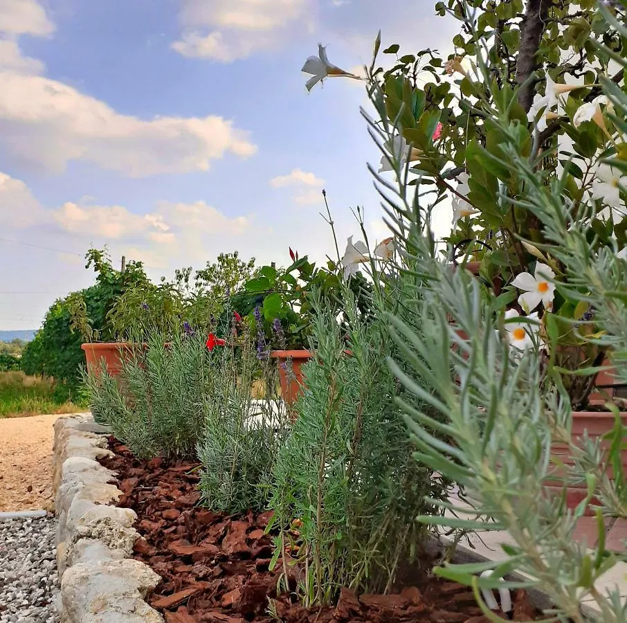 Le Vigne Di Annalisa Sweet Relax Rooms In Unesco Prosecco D.O.C.G. 파라디솔리고